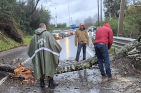 Paso de frente de mal tiempo por zona centro-sur del país deja 29 damnificados y 15 inmuebles con daño mayor