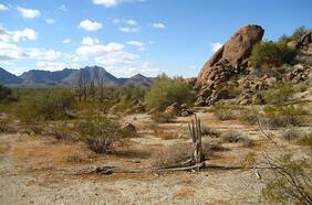 El infierno en la Tierra: termómetros en Irán y México superan los 80°C, nuevo récord mundial de temperatura