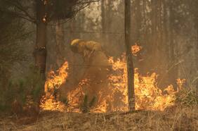 Incendios: Senapred levanta alerta roja en Galvarino y se combate nuevo foco en Dalcahue