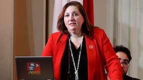 Senadores PS presentan reforma constitucional para devolver IVA de alimentos y medicamentos a familias vulnerables