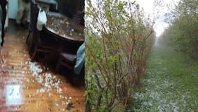 Granizada en Loncoche provoca daños a la agricultura: se reportan pérdidas “entre un 40% y un 60%” de la producción