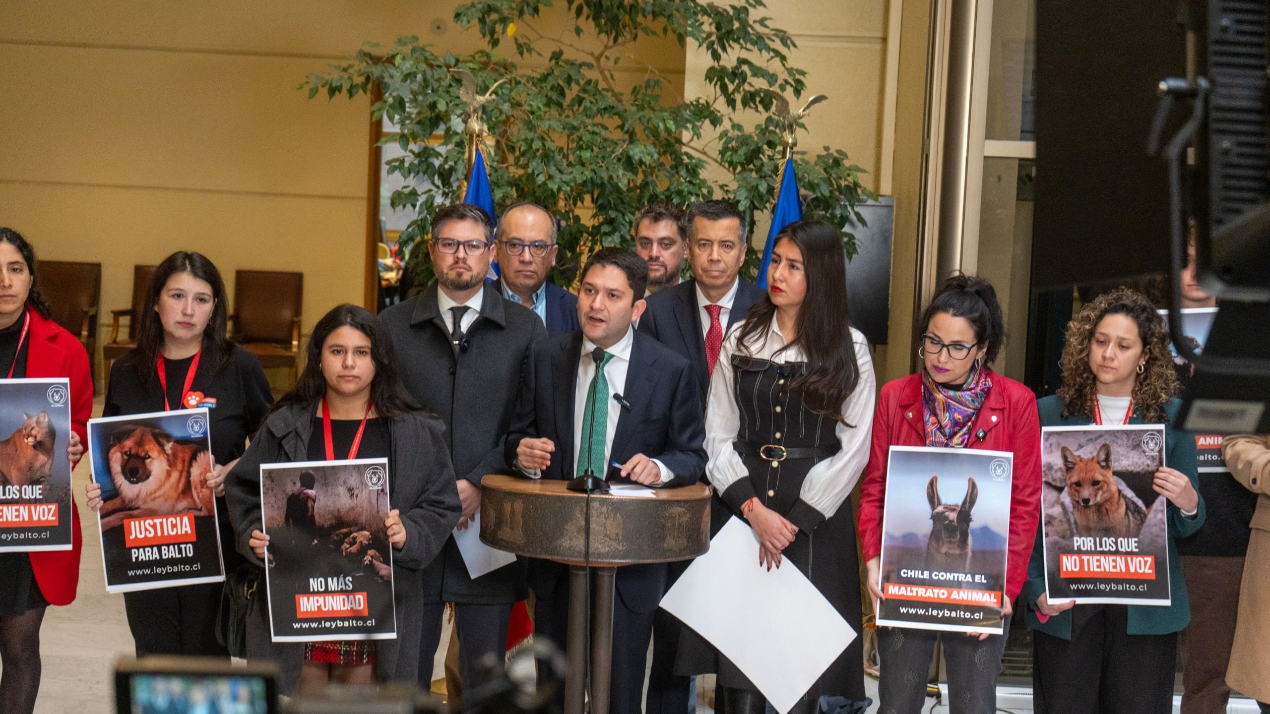Ley Balto: diputados presentan proyecto para endurecer penas en casos graves de maltrato animal