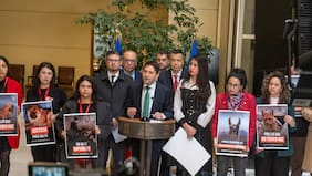 Ley Balto: diputados presentan proyecto para endurecer penas en casos graves de maltrato animal