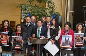 Ley Balto: diputados presentan proyecto para endurecer penas en casos graves de maltrato animal