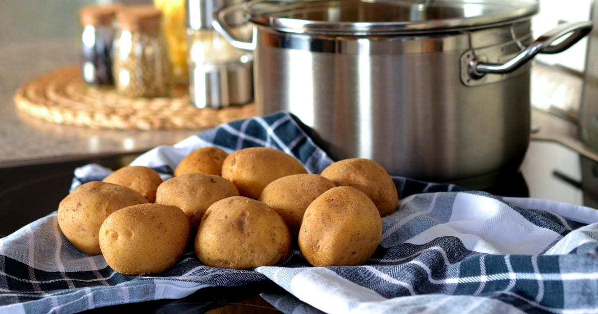 La ciencia en Chile: entre avances simbólicos y desafíos estructurales - Un país que aún no decide apostar en serio