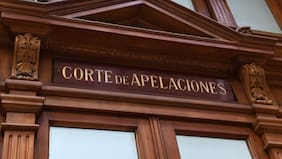 Corte de Valdivia falla que los gatos son seres sintientes por lo que no se les puede aplicar el Código Civil