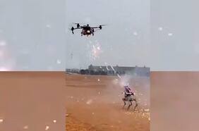 Impresionante espectáculo: la batalla viral entre un drone y un perro robot