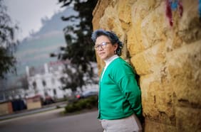 Alejandra Pérez, exconvencional: “Armar un acuerdo antes del plebiscito es pasarnos a llevar”