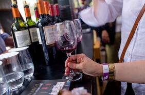 Anuncian incorporación de nuevas variedades y denominaciones de origen para vino chileno