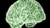 Cómo el cannabis puede afectar al cerebro, desde la adolescencia hasta la adultez