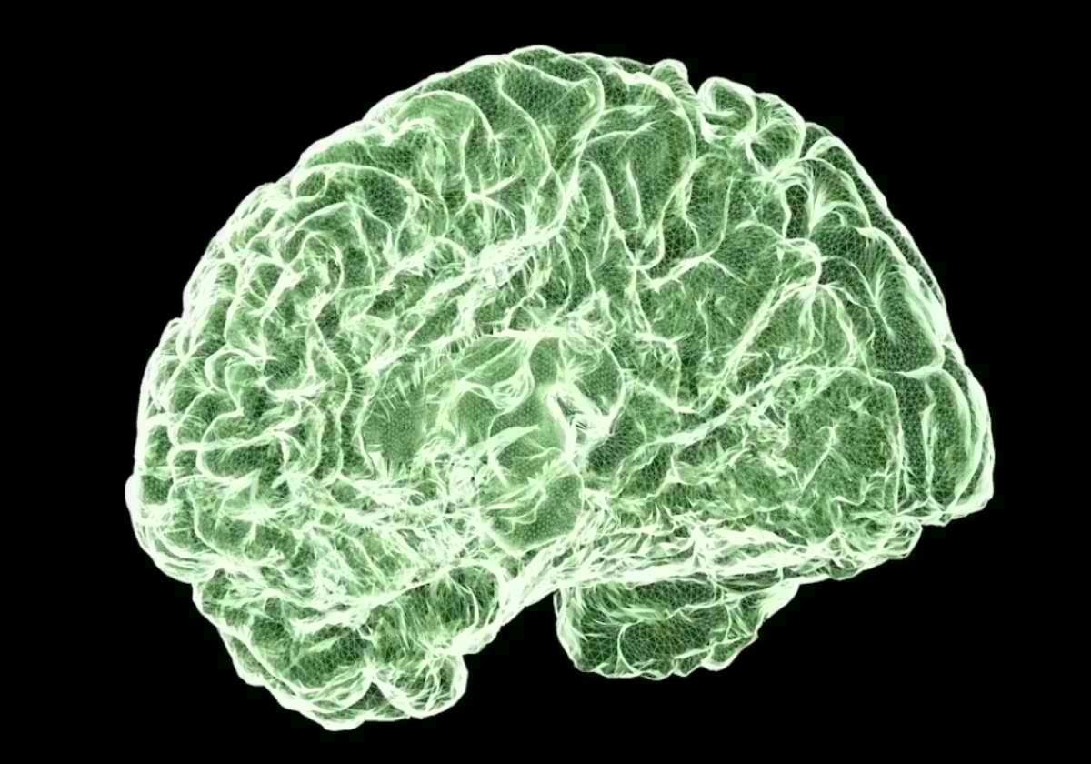 Cómo el cannabis puede afectar al cerebro, desde la adolescencia hasta la adultez
