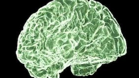 Cómo el cannabis puede afectar al cerebro, desde la adolescencia hasta la adultez