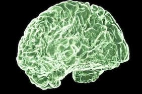 Cómo el cannabis puede afectar al cerebro, desde la adolescencia hasta la adultez