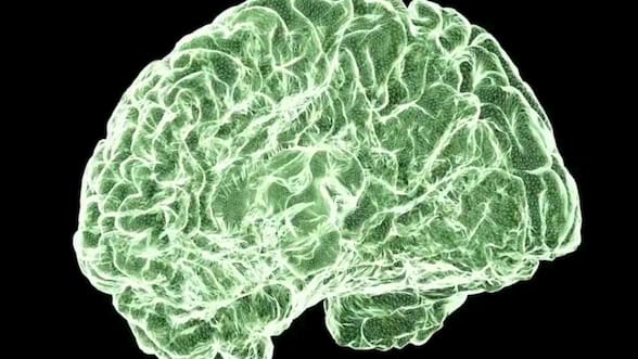 Cómo el cannabis puede afectar al cerebro, desde la adolescencia hasta la adultez
