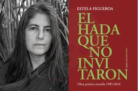 Recomendaciones de Culto: la escritora Selva Almada recomienda el poemario El hada que no invitaron