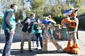 Anuncian reapertura del Zoológico Nacional: Visitantes deberán agendar hora previamente y su aforo será del 35%