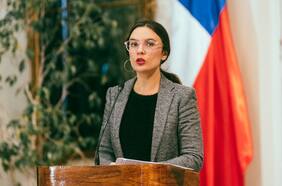 Vallejo asegura que no tienen “preocupaciones” en contar con votos del oficialismo para renovar el Estado de Excepción en Macrozona sur