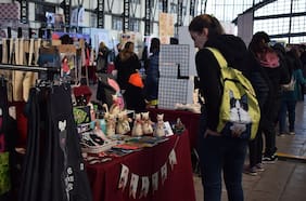 Gatofest: la feria para los amantes de los felinos llega al Parque Bustamante