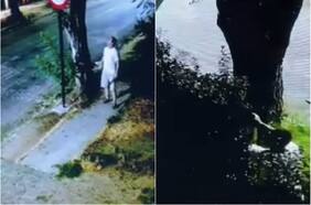 Duro revés para el gobierno: Juzgado declara inadmisible querella contra “el pistolero de La Reina” y los excluye de la causa