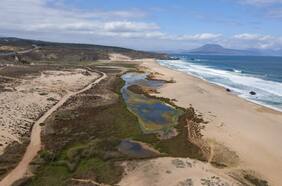 Chile cuenta con su primer Plan Nacional de Restauración: Contribuirá a enfrentar las crisis de biodiversidad y cambio climático