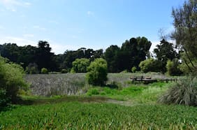 Día Mundial de los Humedales: Ministerio de Medio Ambiente instala domo inmersivo abierto al público en el GAM