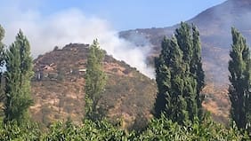 Declaran alerta roja en Paine por incendio forestal en ladera de cerro y cercano a viviendas