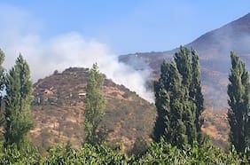 Declaran alerta roja en Paine por incendio forestal en ladera de cerro y cercano a viviendas