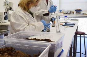 Científicos de la Universidad Autónoma desarrollan envases a partir de estiércol