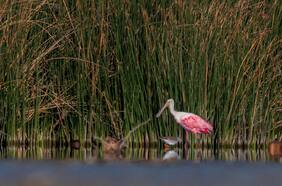 14 panoramas al aire libre para salir a disfrutar la naturaleza en Santiago