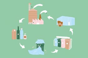 Educación ambiental y la sociedad del Siglo XXI