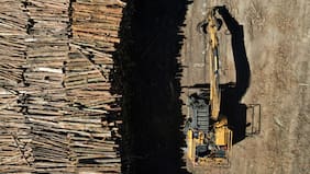 Las propuestas de las forestales para la ley de fomento que trabaja el gobierno para al sector