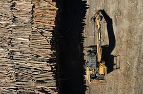 Las propuestas de las forestales para la ley de fomento que trabaja el gobierno para al sector