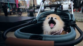 A qué hora comienza la lluvia hoy en la Región Metropolitana (y las 10 comunas que concentrarán las precipitaciones)