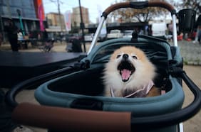 A qué hora comienza la lluvia hoy en la Región Metropolitana (y las 10 comunas que concentrarán las precipitaciones)