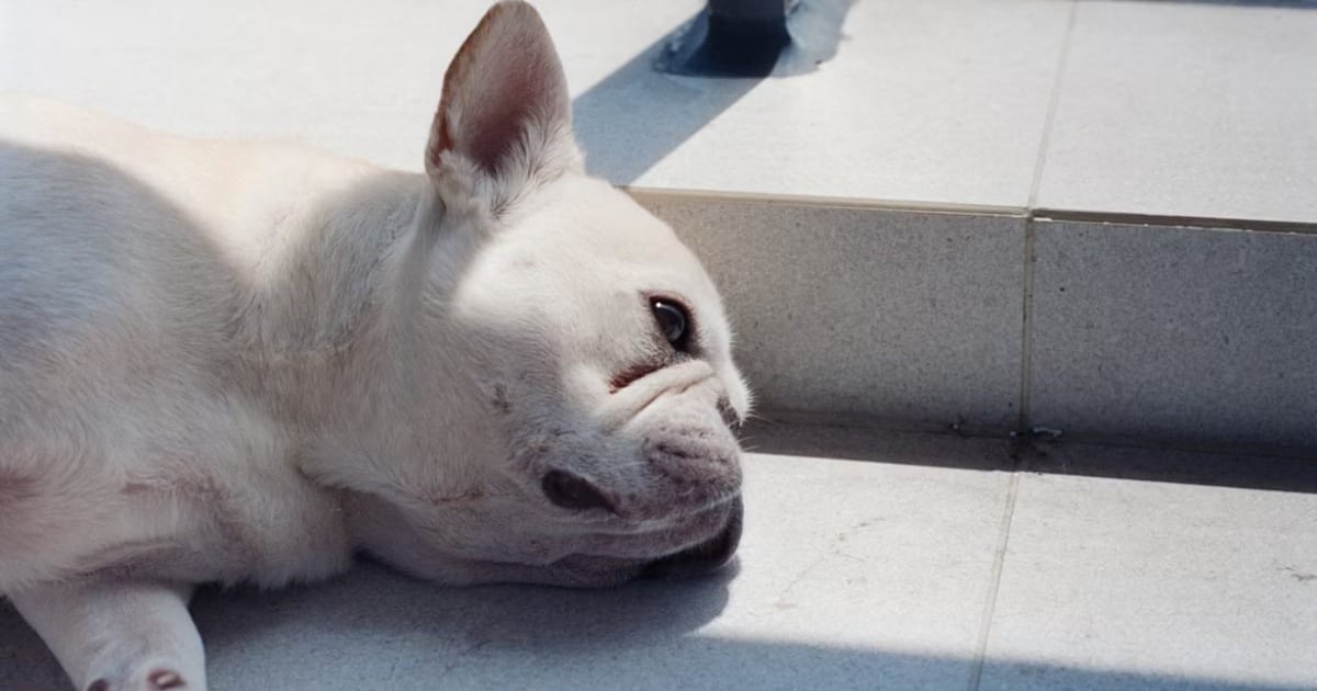 ¿Dormir hasta tarde el fin de semana compensa la falta de sueño de la semana?