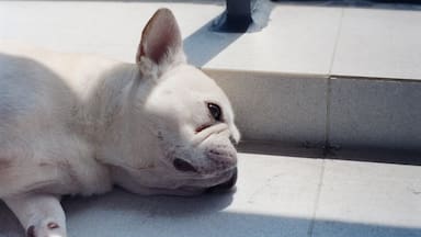 ¿Dormir hasta tarde el fin de semana compensa la falta de sueño de la semana?