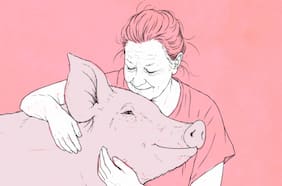 Veganismo y personas mayores: la chanchita que cambió mi vida a los 63