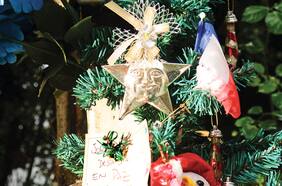 El hombre que pudo resolver el caso Matute