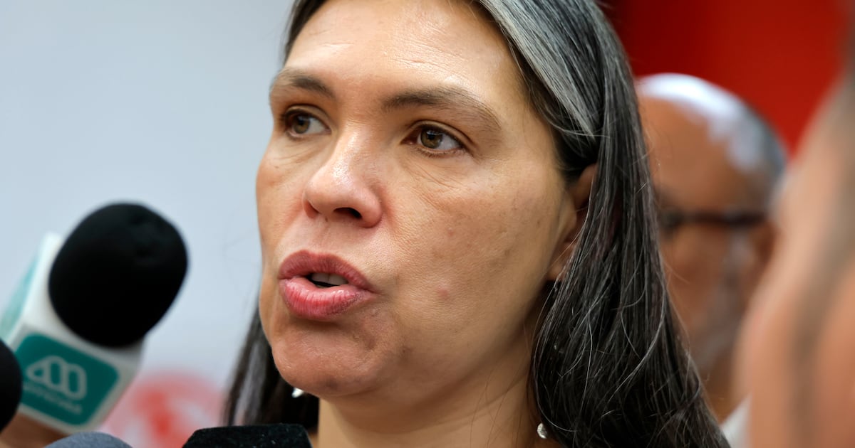 Figueroa marca diferencia con reforma de Boric para desplegar FF.AA. en las fronteras: “Existen instrumentos mucho mejores”