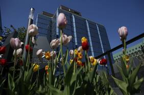 Por qué no desaparece la inflación en el mundo