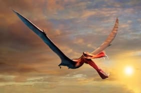 “Es lo más parecido que tenemos a un dragón de la vida real”: Descubren gigantesco reptil que surcó los cielos en la era de los dinosaurios