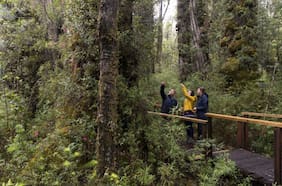 Chile gana por segundo año consecutivo como el Mejor Destino Verde del Mundo
