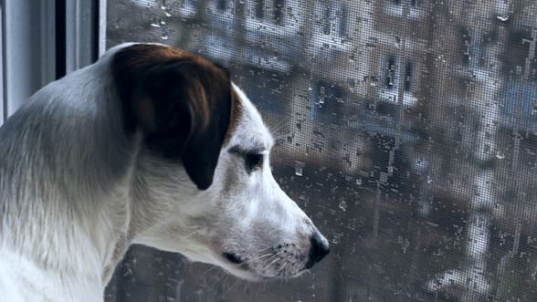 Cómo será el tiempo en Santiago este fin de semana, según el pronóstico