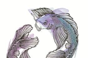 Horóscopo para Piscis 2017