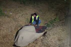 Municipio de Casablanca presentará querella contra responsables del deceso de una yegua en peregrinación a Lo Vásquez