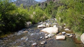 Conaf anuncia entrada gratuita a más de 15 parques nacionales por Día Nacional de las Áreas Protegidas