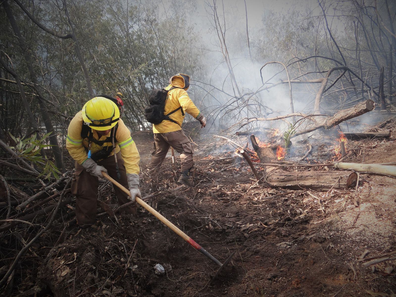 Región de Valparaíso refuerza plan contra incendios forestales con 520 brigadistas y nuevas obras de prevención