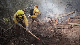 Región de Valparaíso refuerza plan contra incendios forestales con 520 brigadistas y nuevas obras de prevención