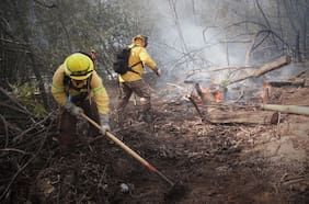 Región de Valparaíso refuerza plan contra incendios forestales con 520 brigadistas y nuevas obras de prevención