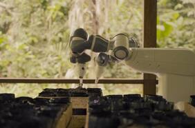 Este robot plantador de semillas busca ayudar a reforestar la Amazonía